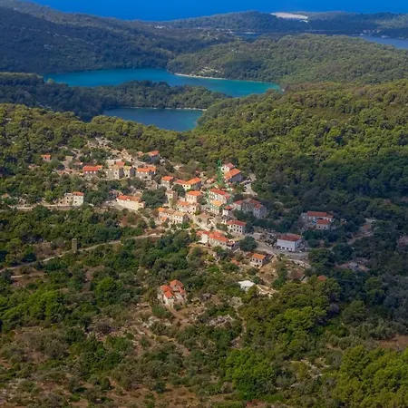 Agriculture & House Lasko