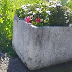 Agriculture & House Lasko