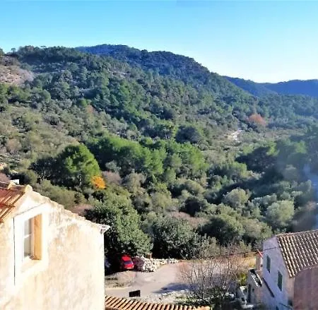 Appartement Agriculture & House Lasko *