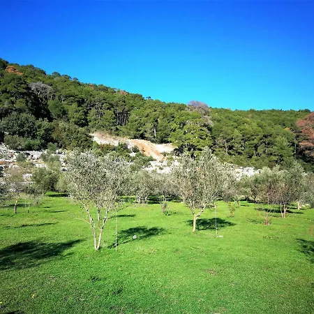 Agriculture & House Lasko * Goveđari