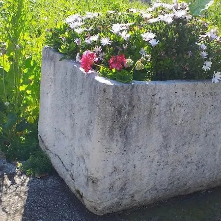 Agriculture & House Lasko