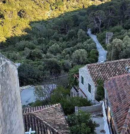 Appartement Agriculture & House Lasko