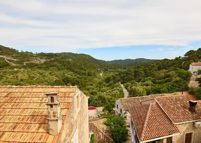 Agriculture & House Lasko * 고베다리