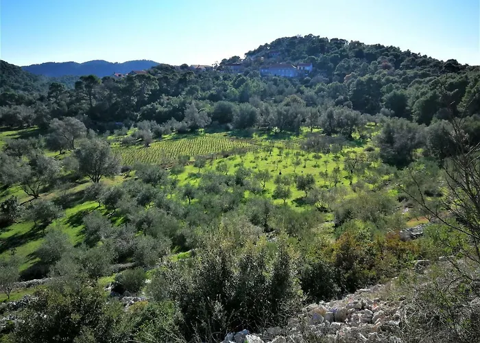 Agriculture & House Lasko * 고베다리