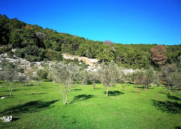 Agriculture & House Lasko * 고베다리