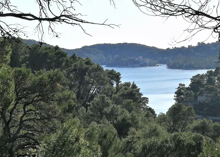 Agriculture & House Lasko