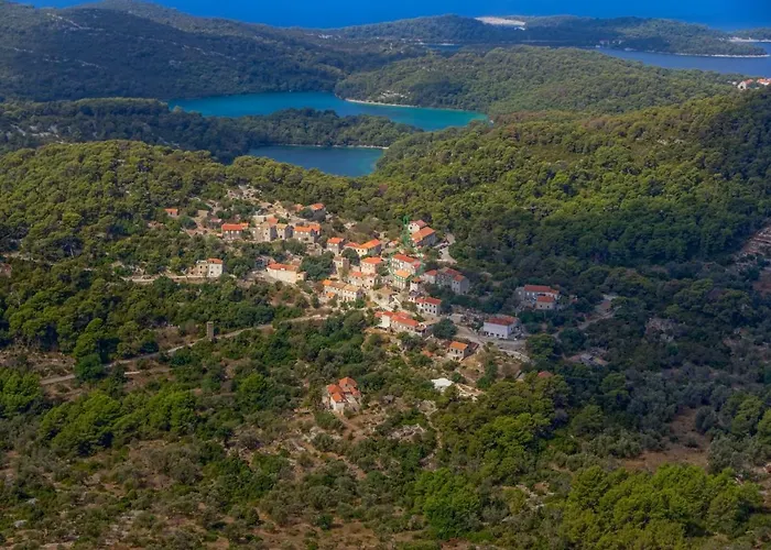 Agriculture & House Lasko