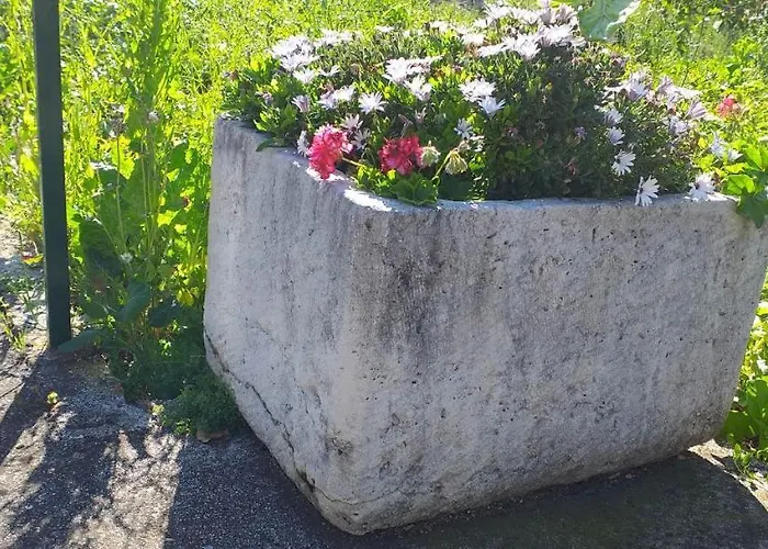 Agriculture & House Lasko