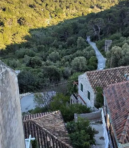 아파트 Agriculture & House Lasko